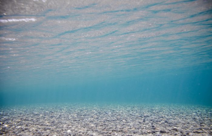 Underwater Image of Clear Water River